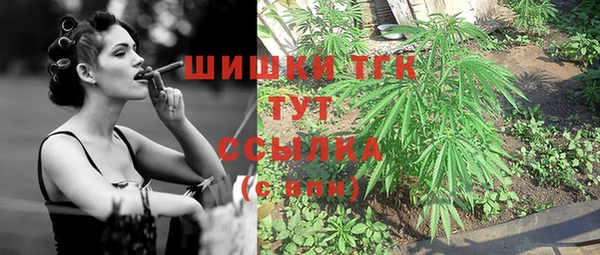 спиды Богородск