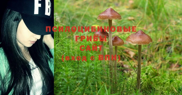 шишки Богданович