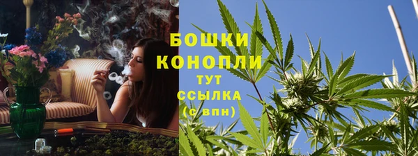 спиды Богородск