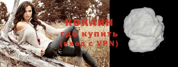 шишки Богданович