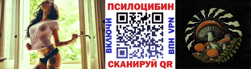 где купить   Краснозаводск  Псилоцибиновые грибы ЛСД 